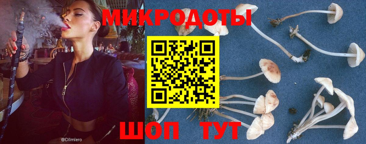 Галлюциногенные грибы ЛСД  Вход с VPN  Галлюциногенные грибы GOLDEN TEACHER  Краснотурьинск 